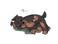 청연도현 도현청연 위치