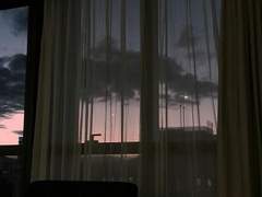 널 사랑한 마음.