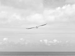 용남현주 타로 커미션 Ⅱ