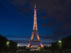 [ 캣버그 ] My world