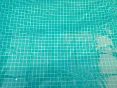 [GL] 가을의 소녀