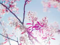 Volante Live : 졸업생