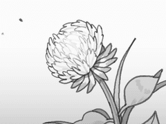 [치트패치?] 영웅의 이야기