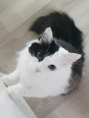 그 계약직 근로자의 공사다망公私多亡