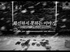 확신하지 못하는 이야기