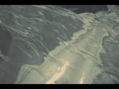 [완수아라] 해파리에는 독이 있다 - 中