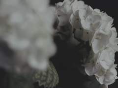 나에게 신은 말더듬이의 모습으로 내렸다