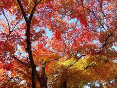 [BL] 기억의 저 끝에서 기다릴게(上)