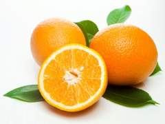 스터디: 오렌지, 축제