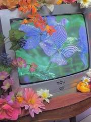 𝕄𝕠𝕕𝕚𝕗𝕚𝕖𝕣