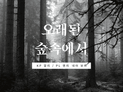 오래된 숲 속에서 후기