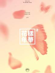 花樣年華 화양연화