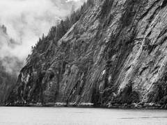 [공명유비] 너는 그믐에 피는 손톱달처럼