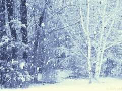 메이님 글설정 커미션