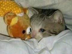 양자역학의 역사