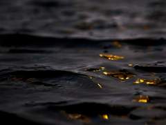 인간은 노력하는 한 방황하느니라.