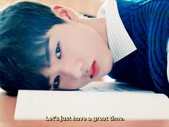 비둘기 자살일지