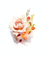 나디아 C. 하그리브스