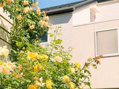 우리는 매일매일*