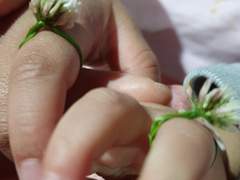 105. 이쁜이가 되고 싶어