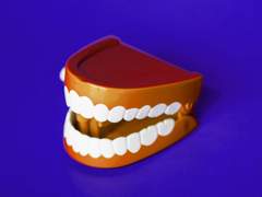 룡백 센티넬버스 썰 백업