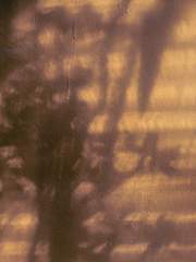 짧거나 길거나 단편