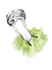 [팽이 시리즈] 일러스트