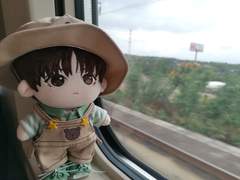 2/5 fin))20cm 묘상보