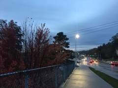 아멜리아와 케이