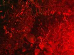 또다시 인연에 상처받고,