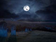 [택언유연] 2020년 할로윈 :: From Eternal Place 下