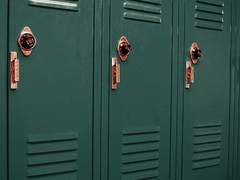 내용 짤린 토롴 하이틴...