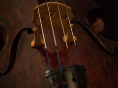 [파이브바냐] 동상이몽