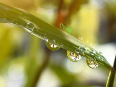 [찬오새봄] 그 이후