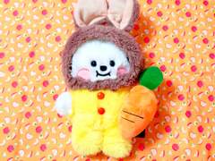 시켜줘.. 김아미 명예 토끼