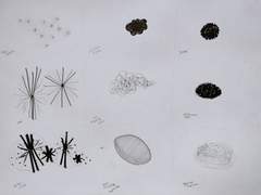 [5강] 미각 드로잉_아~