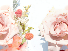 꽃 그림화 오토액션 파일