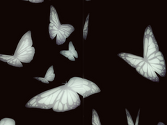 마피아 au 서사편