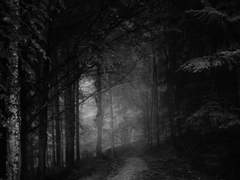 [오이카게미야] 벗어나려고 했던 것 ㆖