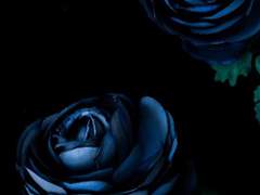 [왕샤오] 푸른 레오파드를 걸친 히어로-5