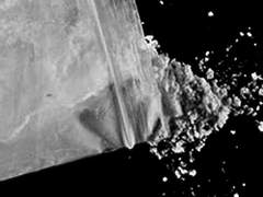 날지 못하는 것이 개의 불행은 아니다 三