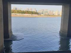 겨울 한강 일기