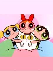 낫 브레이킹 배드