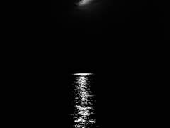 로잔나 :: A타입 1000자