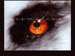 Vermilion Eyes 03