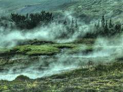 [마다카나] 죽음