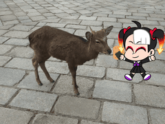 꽃보다 청춘 오사카편 - 7부