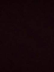 노란 안개가 낀 세계