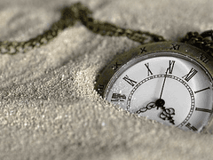 거짓과 진실은 언제나 함께?