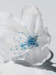 황림이 우리편이면 좋겠다.